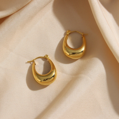 EVIE Chic Earrings
