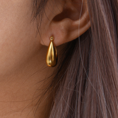 EVIE Chic Earrings