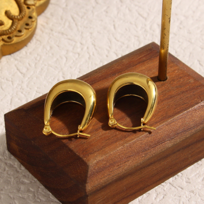 EVIE Chic Earrings