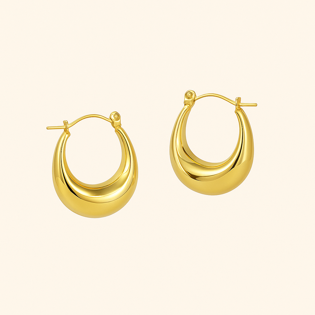 EVIE Chic Earrings